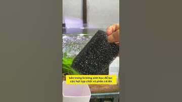 T01_0427_MÁY LỌC NƯỚC BỂ CÁ ĐA NĂNG 3 TRONG 1