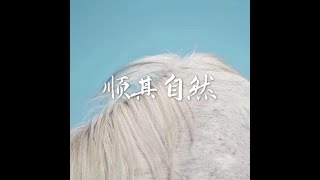 201408 顺其自然31646