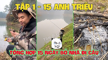 Tổng Hợp 15 Ngày Bỏ Nhà Đi Câu 1-15 | Thử Thách Câu Cá Không Đồng