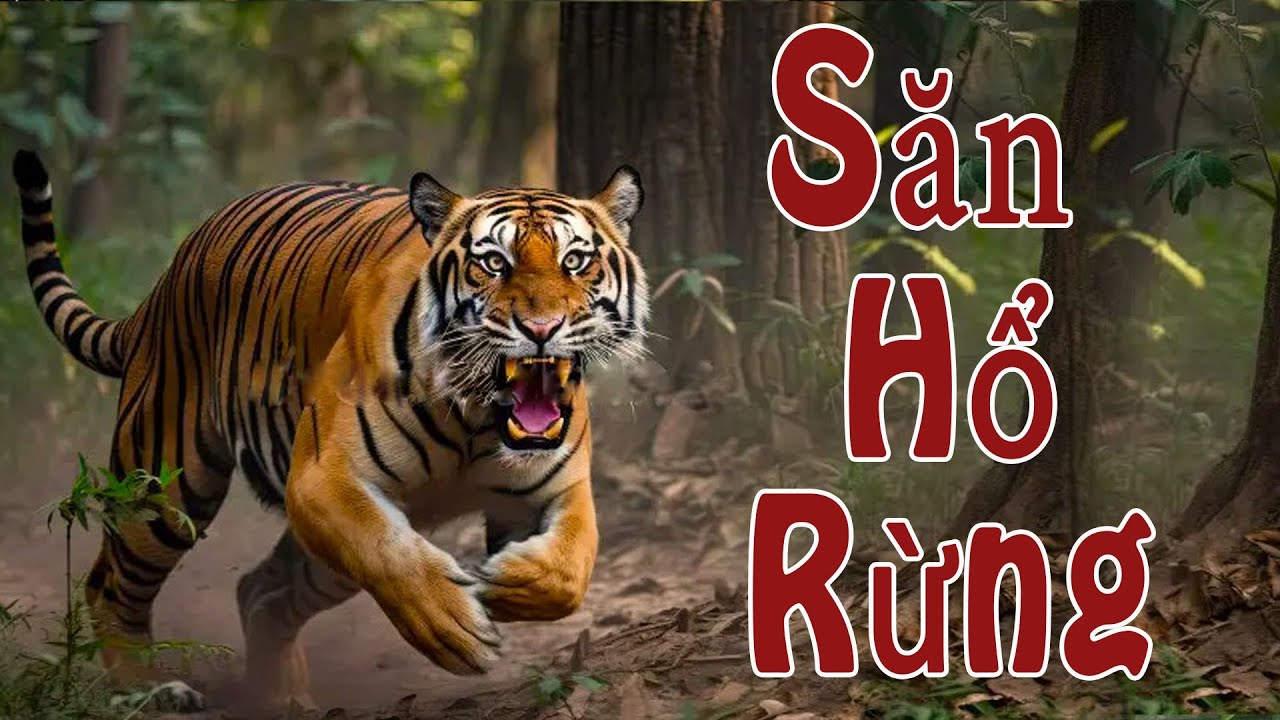 SĂN HỔ RỪNG | Truyện Đường Rừng Về Hổ Ăn Thịt Người | Kênh Truyện Xưa
