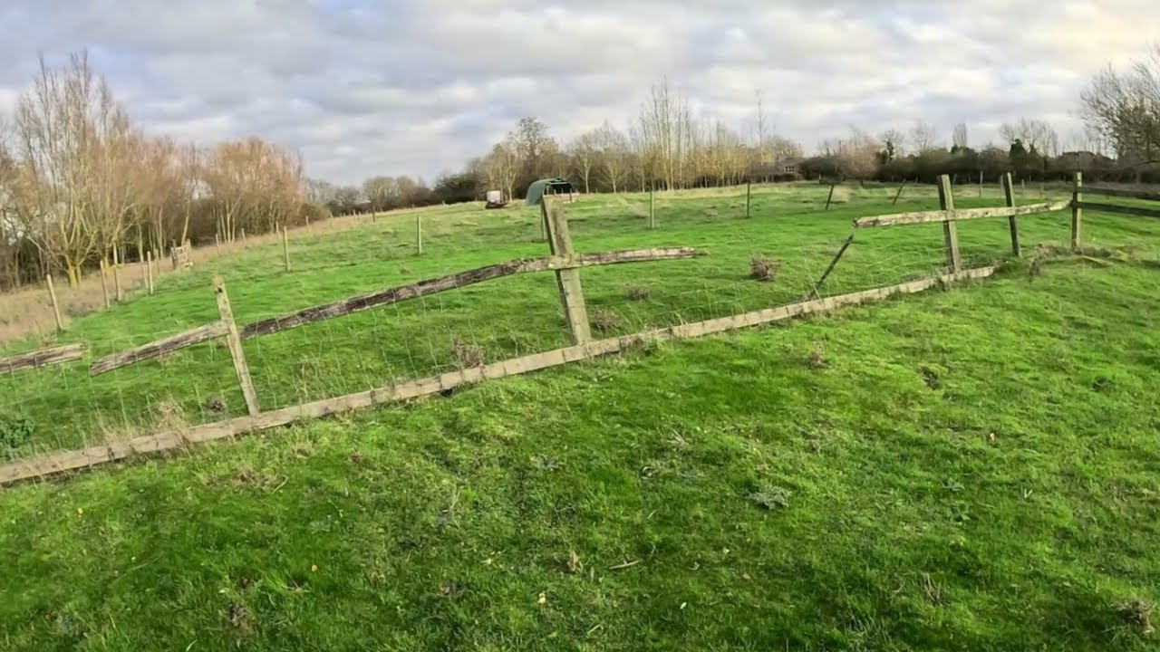 HELP!!!! Our fence is falling down.