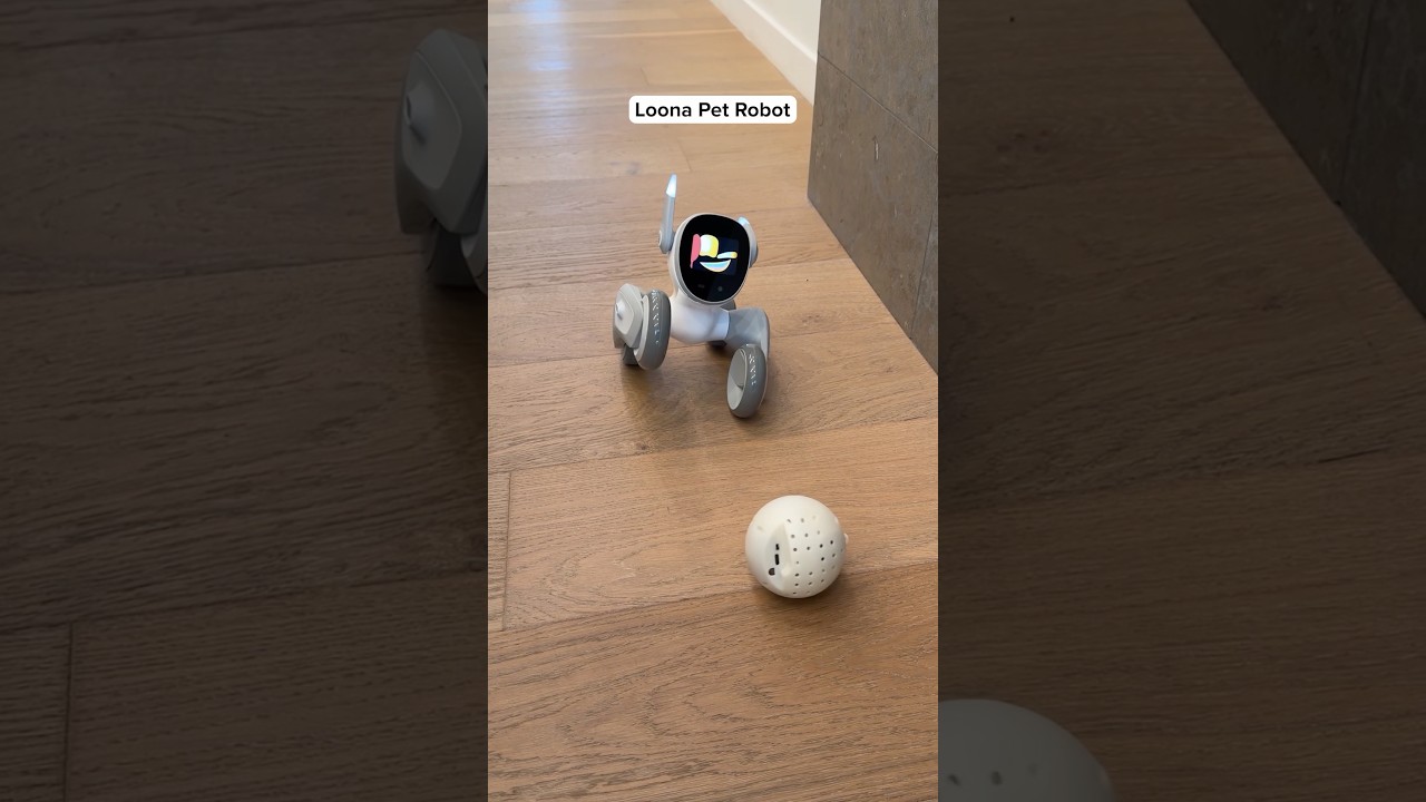 This Is A Robot DOG? #tech #pets