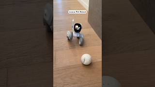 This Is A Robot DOG? #tech #pets