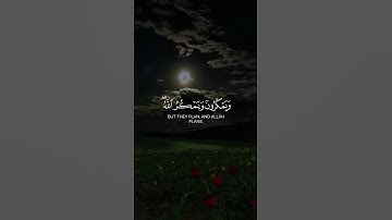 ويمكرون ويمكر الله والله خير الماكرين  #الشيخ #ناصر_القطامي #قران_كريم #تلاوة_خاشعة #محبوب_الجلال