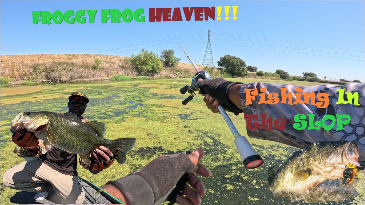 California Delta Fishing - Fishing in Frog Heaven