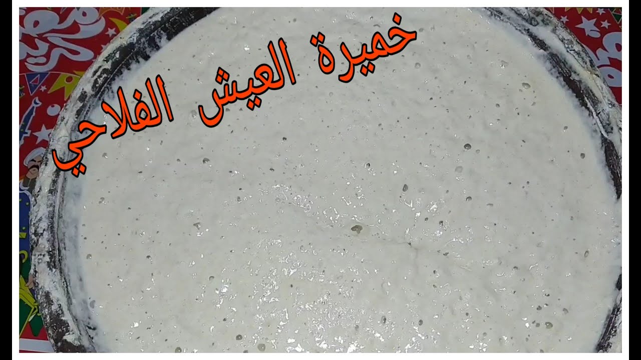 طريقة تربية خميرة العيش الفلاحي (خميرة منها فيها)