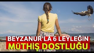 Beyzanurla 6 Leyleğin Müthiş Dostluğu