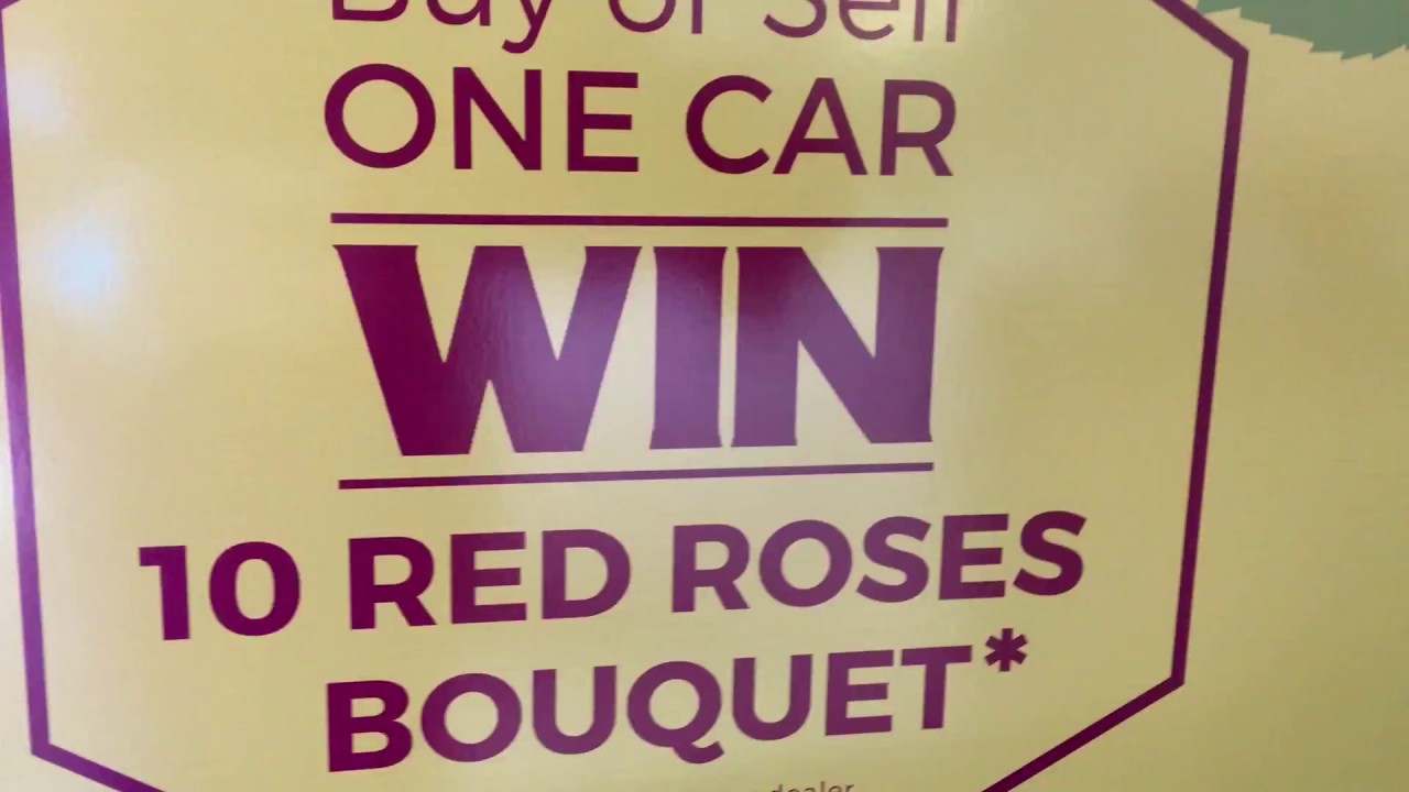 VALENTINE'S SALE 14 Feb 2017 MID STATE Jefferson Auto Auction YouTube