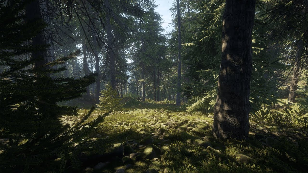 FAILED TIGER HUNT (The Hunter; COTW EP2)