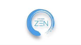 Cronus Zen Firmware Update Guide