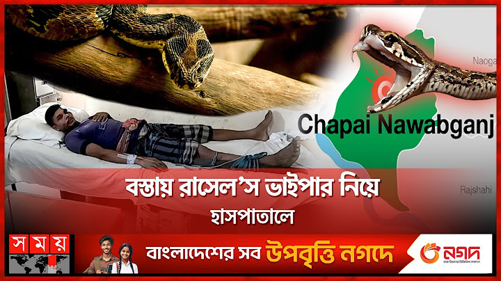কামড় খেয়ে জীবিত রাসেল’স ভাইপার নিয়েই হাসপাতালে যুবক | Chapainawabganj | Russell's Viper | Somoy TV