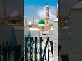 ya Allah Ham sabko madine or karbala ka ziyarat naseeb Karla #tiktok#viral#foryou#islam#india#skardu