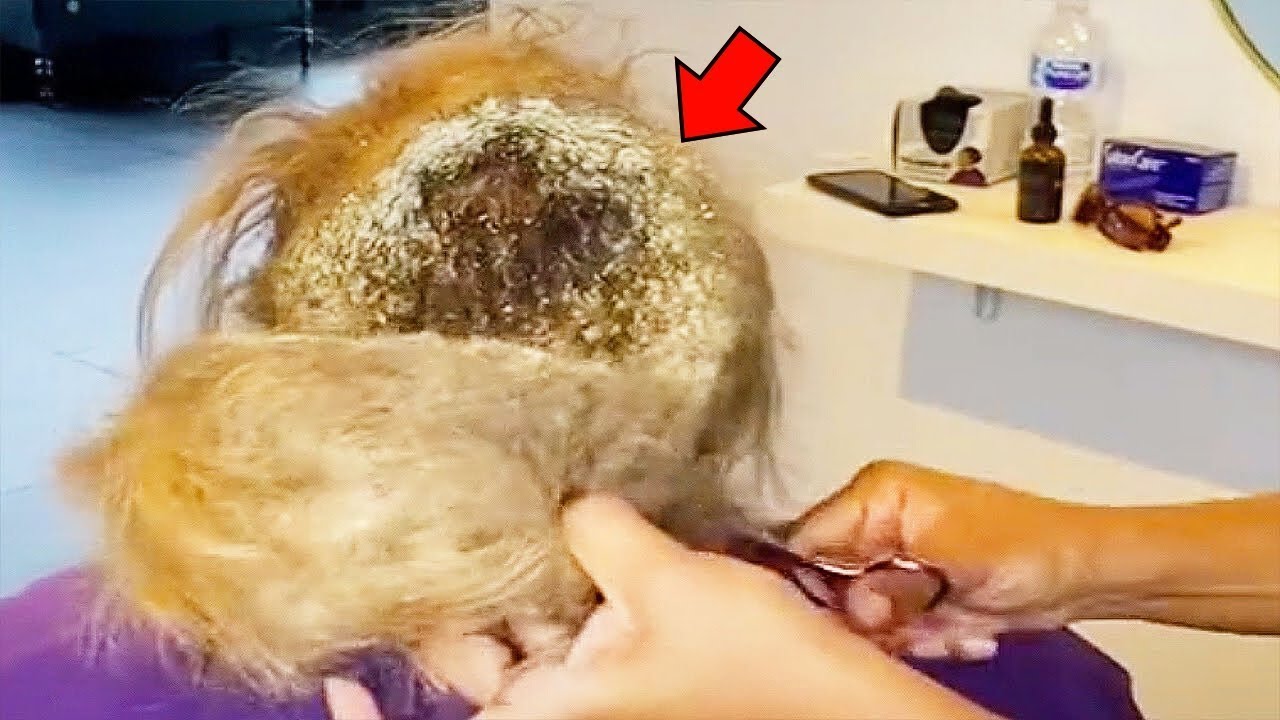 Парикмахер сделала шокирующее открытие после того, как девочка годами отказывалась расчесывать во...