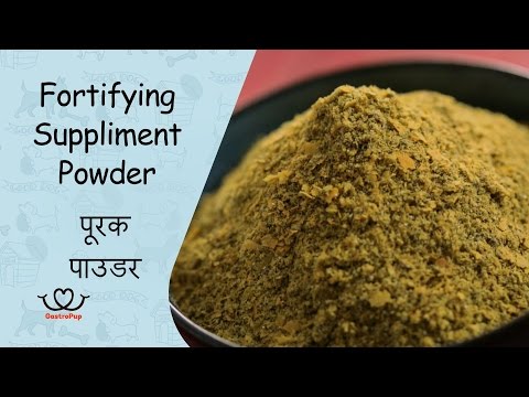 How To Make A Fortifying Supplement Powder For Your Dog At Home || Gastro Pup