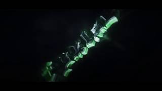 a sync intro fpusle.30fps