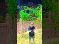 ye hawayen meri#beautifulsmile #cutebaby #trending #viral #shortvideo