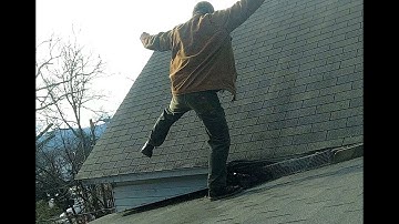 Squirrel Removal From Soffits