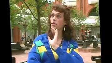 A Bit Of Fry And Laurie - DIY Mad