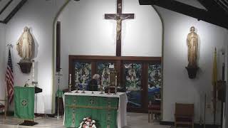 15th Sunday in Ordinary Time 7-12-2026