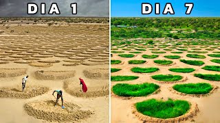 Cómo el Desierto del Sahara se está Transformando en un Oasis Agrícola by DRAKOTAKO CHANNEL 594,144 views 1 month ago 22 minutes