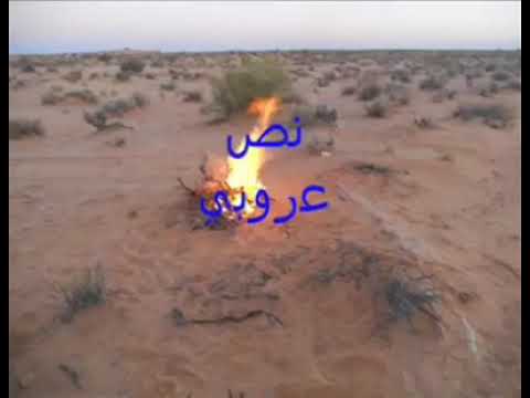 تنهدت و التنهيد قلبي ضره الفنان محمد الغمد