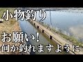 小物釣り ちょっとそこまで行くの巻 micro fishing