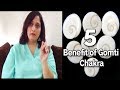 5 Benefit of Gomti Chakra | Life Changing Benefit of Gomti Chakra | Divyaa Pandit
