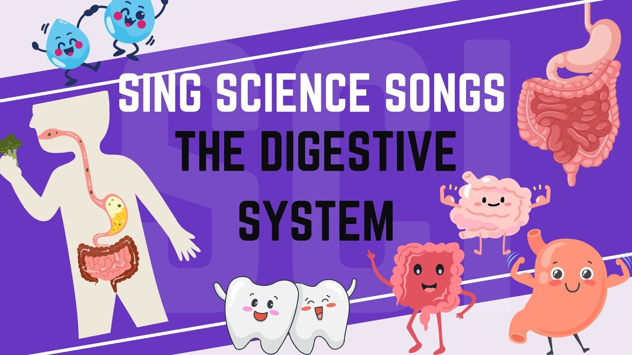 Human Digestive System Song - Sing Science Songs for Kids - YouTube