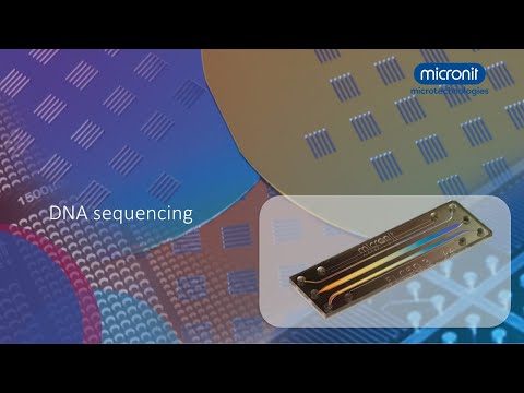 Video: M3S: Pemilihan Model Komprehensif Untuk Data Sekuensing RNA Sel Tunggal Multi-modal