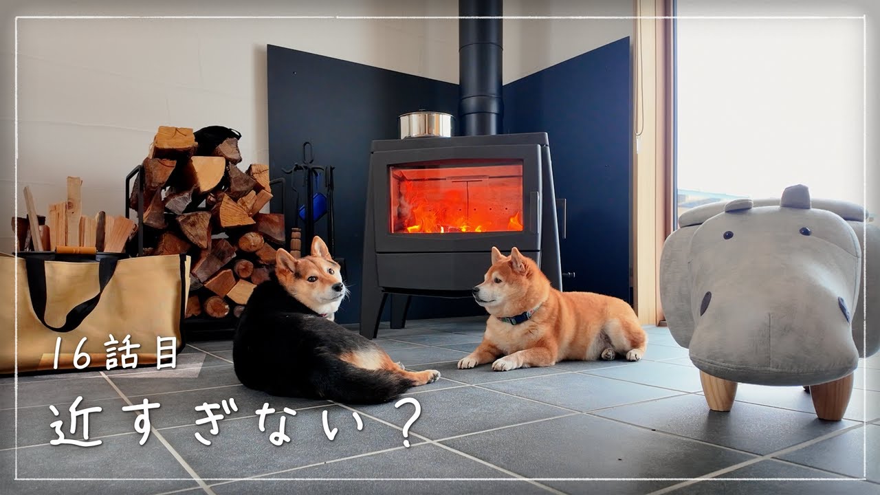 柴犬｜薪ストーブは犬に危険？八ヶ岳で暮らす50代移住生活