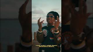 small DOCTOR Ft Bella Shmurda - SHAKA (Visualizer)