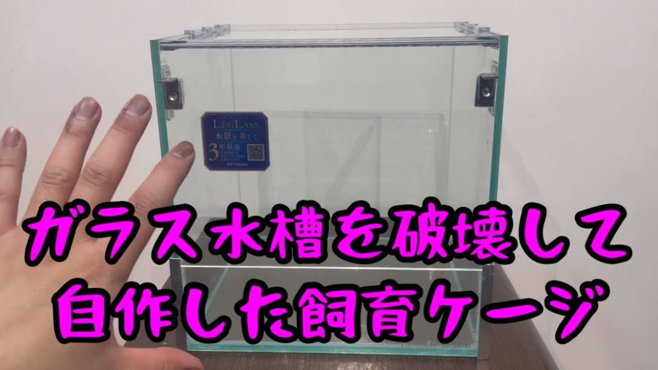 ガラス水槽を破壊して、前開きの爬虫類・両生類飼育ケージを自作しま