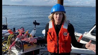 Offshore seaweed farming technology demonstration at Ram Island
