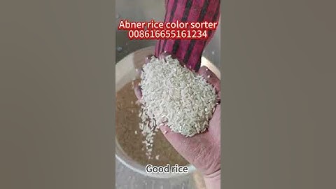 Rice color sorter 1 tons per hour