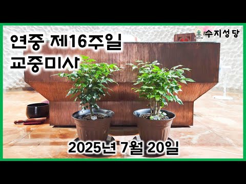 영상썸네일