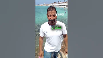 مفيش حد حبيبك كلهم بيحبوا جيبك راكزا علاءالحمبلي علاءعصمت وادع باع Automobile مفيش حبيب 