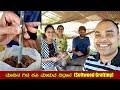 ಮಾವಿನ ಗಿಡ ಕಸಿ ಮಾಡುವ ವಿಧಾನ Softwood Grafting for Mango Plants [Gardening Tips] - Mr and Mrs Kamath