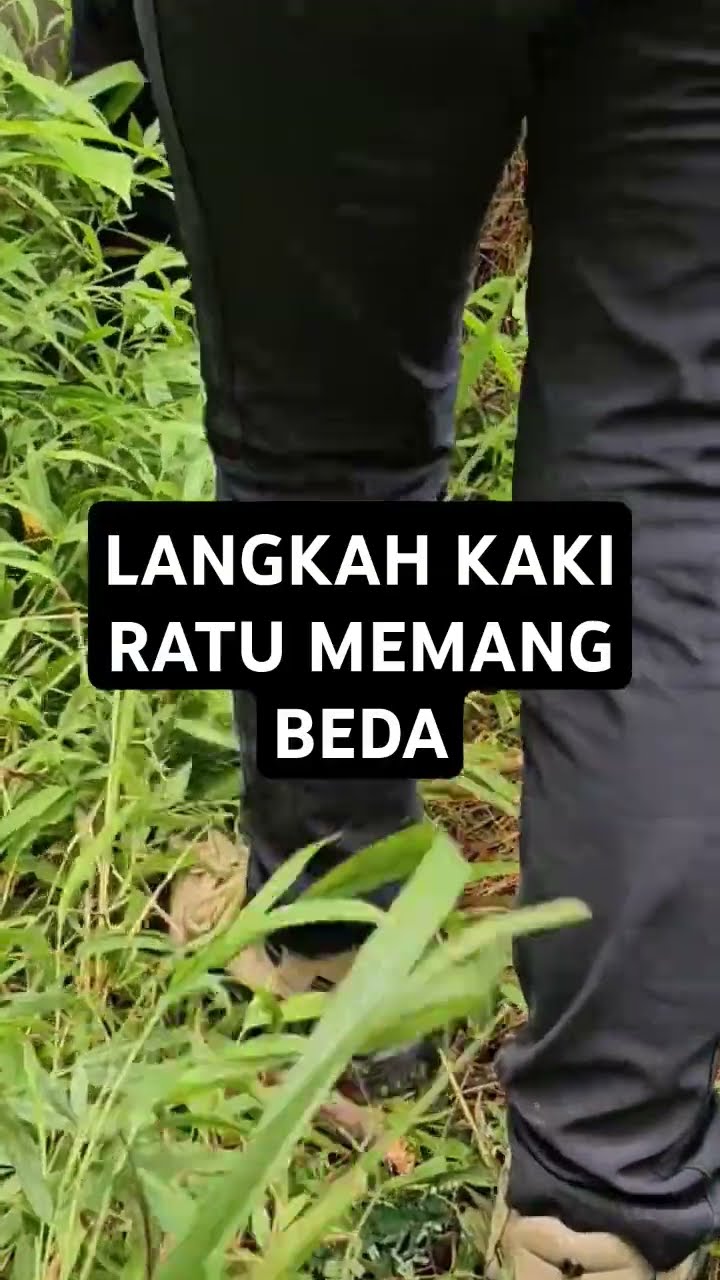 Jalan Kaki Lewati Semak Blukar
