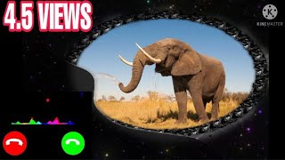 🎵🎶ELEPHANT BGM SOUND|NEW RINGTONE see down👇👇