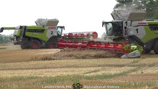 Claas - Fendt / Getreideernte - Grain Harvest 2021 pt1