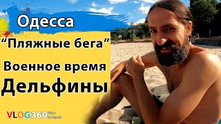 Пляжные бега. Обзор пляжей в военное время | Дельфины на Чкаловском пляже в Одессе