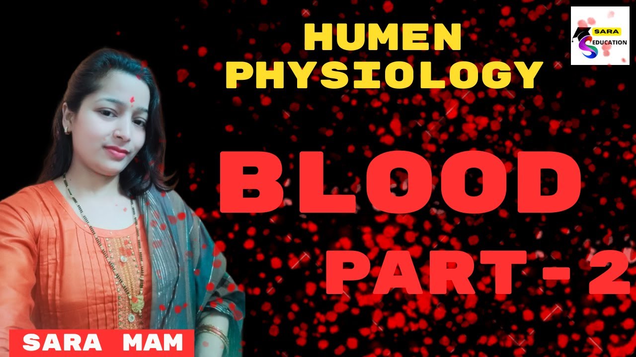 HUMEN BLOOD | human physiology blood / human physiology for competitive exams  / by sara mam