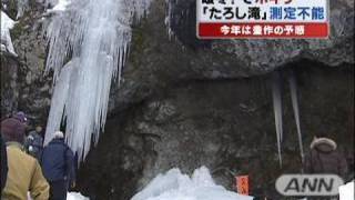 米の作柄占う「たろし滝」の氷柱崩壊　岩手・花巻市（10/02/11）