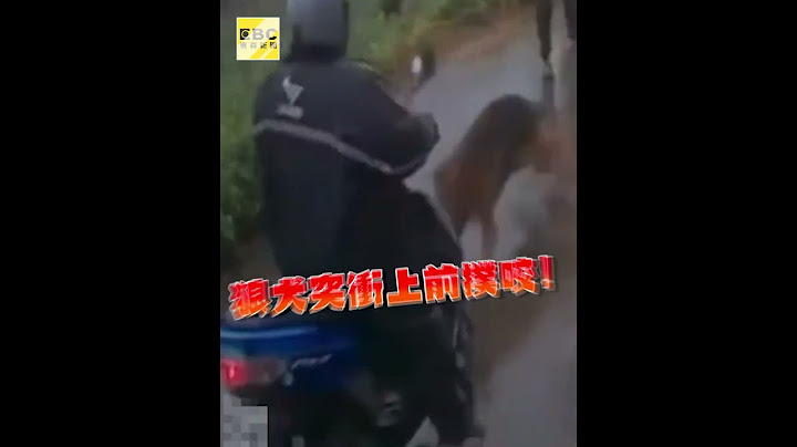 淡水男溜40kg狼犬未牽繩！咬傷騎士網驚喊：不是第一次
