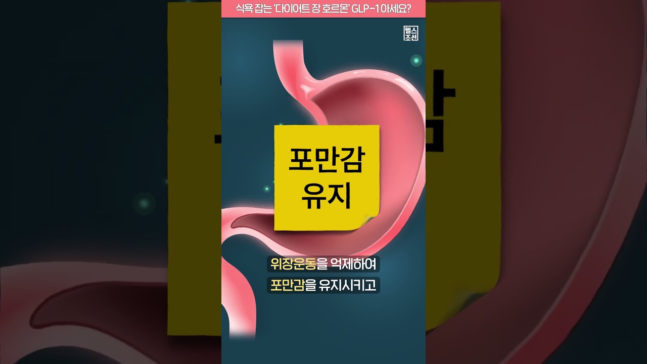 glp 1 호르몬 식욕 잡는 '다이어트 장호르몬' GLP-1 아세요? #shorts