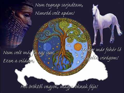 Molnár Zoltán - Magyaroknak fája (OFFICIAL)