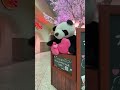 野菜を食べよう (sanpo) Ueno Panda Bye Bye