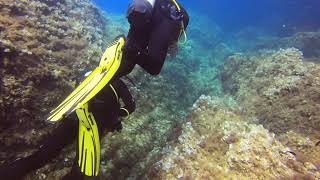 2. Tauchgang mit Mero Diving