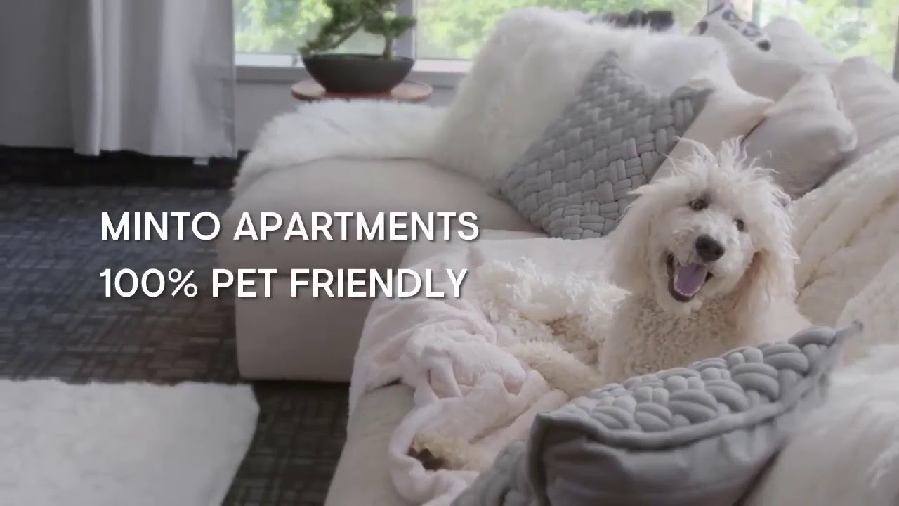 Pet Friendly - Ottawa Apartments