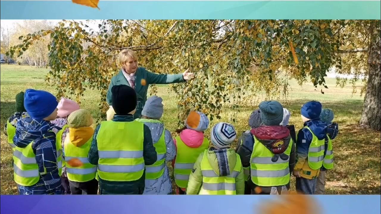 Консультация экологическое воспитание дошкольников. Мастер класс для воспитателей. Экологическое воспитание дошкольников в доу. Маленькая страна текст королева. Экологическое воспитание консультация для родителей.